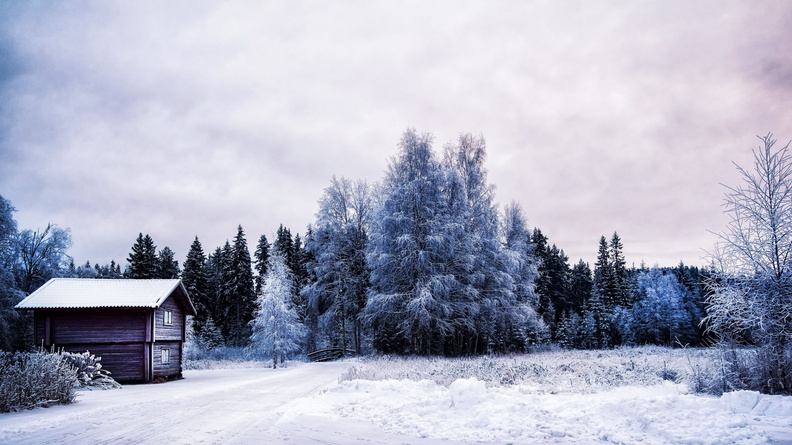 paysage-hiver-neige-001.jpg