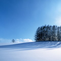 paysage-sous-la-neige-0428
