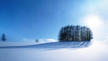 paysage-sous-la-neige-0428