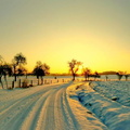 paysage-sous-la-neige-356.jpg