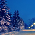 paysage-sous-la-neige-524.jpg