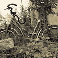 vtt-bike-cycle-44323