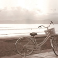 vtt-bike-cycle-44333