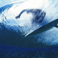 sports-surf-49294