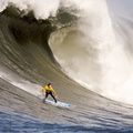 sports-surf-49297
